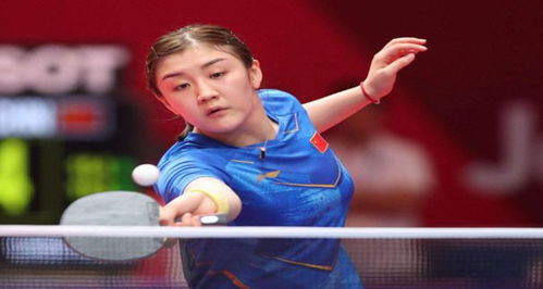 科瓦西奇 科瓦西奇