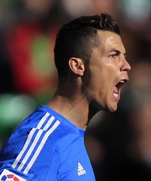 将不仅确定 将不仅确定